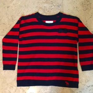 Abercrombie Kids Crew Neck Sweater